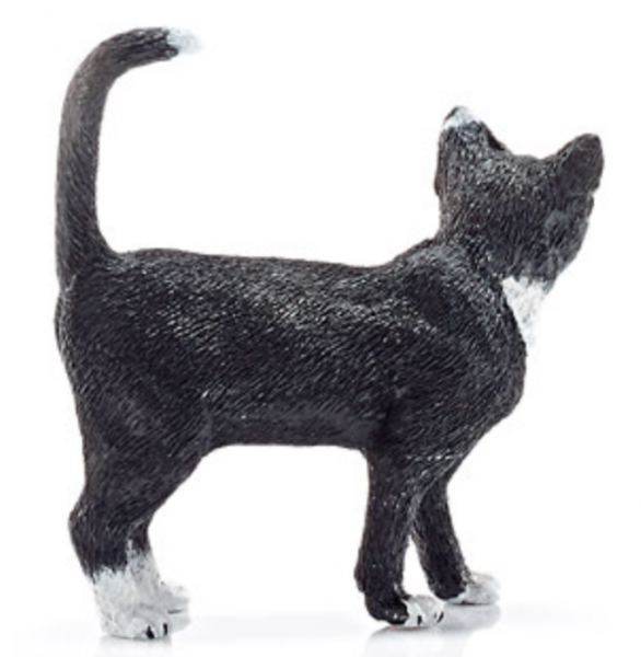 KATZE SCHWARZ - STEHEND